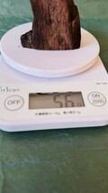 【伽羅　極上品】56g 香木 お焼香 香道具 伽羅 お香 ベトナム産 香炉 茶道具 御香木 薫香 中国美術　古美術　松栄堂　鳩居堂_画像5