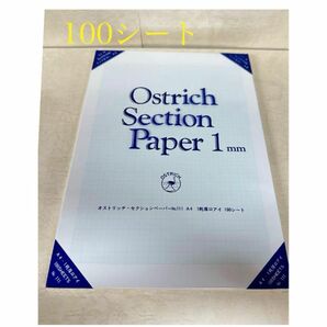 新品未使用　オストリッチ　セクションペーパー　NO.111 厚口