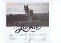 盤質新品同様 国内盤 LP Various / The Magic Of Lassie (Original Soundtrack Recording) / ラッシー 帯 インサート ポスター付 FML-115_画像3