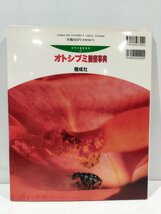 自然の観察事典⑩　オトシブミ観察事典　文/櫻井一彦　写真/藤丸篤夫　偕成社　刊　昆虫/甲虫【ac03n】_画像2