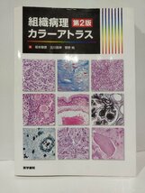 組織病理カラーアトラス　第2版　坂本穆彦/北川昌伸/菅野純　医学書院【ac03n】_画像1