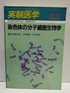 染色体の分子細胞生物学　実験医学 増刊 Vol.11 No.20 1993　柳田充弘・水野重樹・西本毅治　羊土社【ac03n】