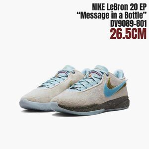 希少 海外限定 NIKE NBA LeBron XX レブロン20 LeBron James 26.5CM バスケットボール