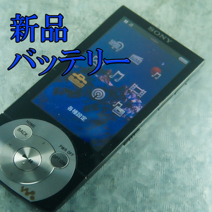 美品　動作良好 SONY ウォークマン NW-A847 64GB バッテリー新品交換　送料無料　0905