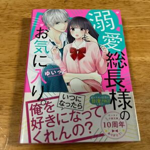 溺愛総長様のお気に入り。 （ケータイ小説文庫　ゆ１１－５　野いちご） ゆいっと／著