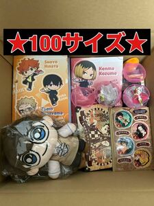 ★1,000円スタート★ アニメグッズ まとめ 100サイズ 3.2kg ハイキュー コナン 呪術廻戦 ワンピース ブルーロック ポケモン 幽遊白書 他