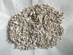 .. песок коралл песок вес 1kg Okinawa префектура контрольный номер 15