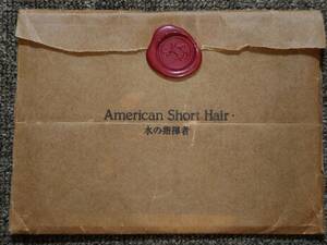 CD J-ROCK インディーズ　American Short Hair / 水の指揮者