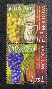 morudoba wine grape 2 kind . unused NH