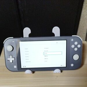 ニンテンドースイッチライト グレー 本体のみ