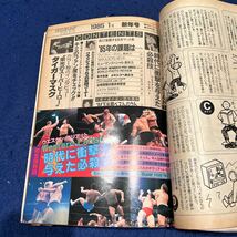 エキサイティングプロレス◆1985年1月号◆ヒューマンスペシャル◆長州力◆タイガーマスク_画像7