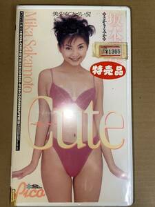 坂本三佳　Cute VHSテープ　新品　未開封