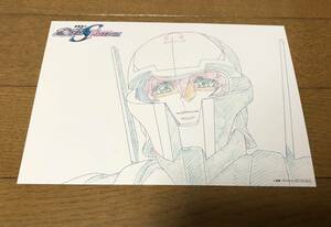 劇場版 機動戦士ガンダム SEED FREEDOM 5週目 入場者特典 原画 イラストカード 新品 ラクス