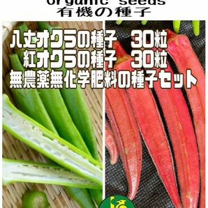 白オクラの種子30粒と赤オクラの種子30粒　有機の種子セット　無農薬無化学肥料栽培のタネ