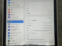 新品同様 Apple iPad Pro Wi-Fi+Cellular 11インチ 第1世代 MU102J/A 256GB スペースグレイ SIMフリー SimFree_画像7