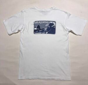 90's パタゴニア オーガニックコットン Tシャツ ベネフィシャル 北斎 ヴィンテージ ビンテージ ンテージ メキシコ製 サイズS / パタロハ