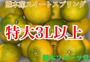 5箱限定【贈答サプライズ】味に当たり外れなし！見た目を裏切る美味しさスイートスプリング（3L以上約5ｋ）10