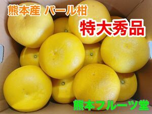 【御贈答用写真現物】熊本三角産 パール柑 約10k箱込 熊本フルーツ堂