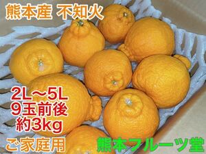 ちょうどいい量！熊本産【不知火】約4ｋ箱9玉前後　熊本フルーツ堂6