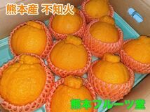 贈答品！熊本産【不知火】3ｋ箱8〜9玉　熊本フルーツ堂8_画像1