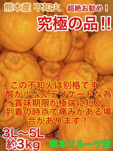 【超目玉商品】何とか入荷しました！超絶お勧め！熊本産【温室栽培不知火】約3ｋ熊本フルーツ堂6