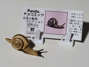 【美品】チョコエッグ　日本の動物コレクション　第2弾　クチベニマイマイ　解説書付き　フィギュア 