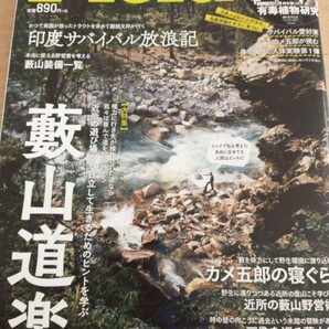 ▼ Fielder フィールダー 34 藪山道楽 印度サバイバル放浪記 服部文祥 / 未踏の沢旅 宮城公博 木下徳彦 / ローズガリー 成瀬陽一 ②a