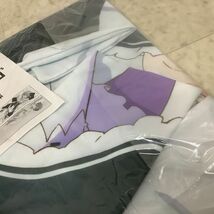 1円〜 未開封 KADOKAWA Re:ゼロから始める異世界生活 レム 抱き枕カバー_画像3