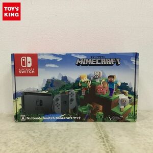 1円〜 動確/初期化済 ソフトDL不可 Nintendo Switch HAC-001 グレー Minecraftセット