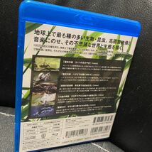 インセクト・プラネット 昆虫たちの世界(Blu-ray Disc)ブルーレイ_画像2