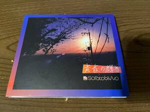 Soratobiwo『青春の輝き』(CD)