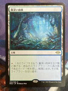 MTG　《霧深い雨林/Misty Rainforest》　MH2　日本語