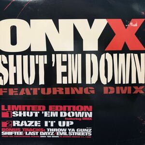 c 2LP 二枚組 ONYX SHUT 'EM DOWN / RAZE IT UP レコード 5点以上落札で送料無料