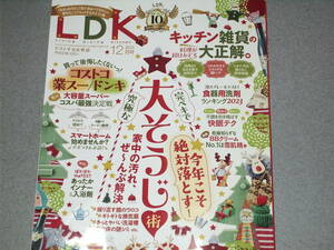 LDK2023.12水川あさみアオイヤマダ/完ペキで究極な大掃除術/食器用洗剤/キッチン雑貨/BBクリーム/あったかインナー/入浴剤/スマートホーム