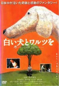 【訳あり】白い犬とワルツを ※ジャケットに難あり レンタル落ち 中古 DVD ケース無