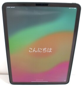 Y6111#◆美品◆Apple iPad Pro(第5世代) 12.9インチ Wi-Fi+Cellular モデル シルバー 256GB MHR73J/A 　※docomo(△)判定