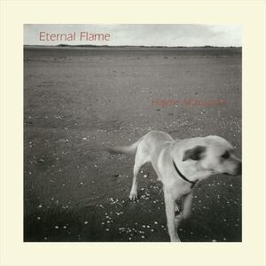 Eternal Flame / 溝口肇 (CD-R) VODL-61375-LOD