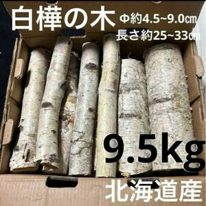 北海道産 白樺の木 約9.5kg No.121