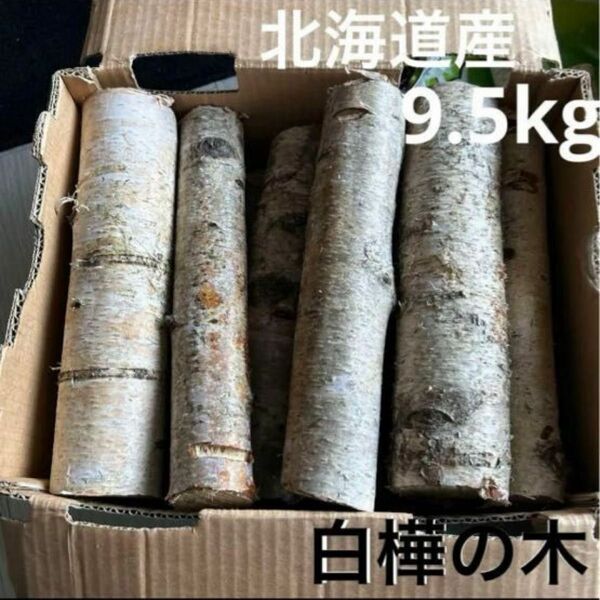 北海道産 白樺の木 約9.5kg 薪