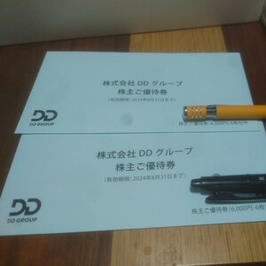 ダイヤモンドダイニング DD ホールディングス 株主優待券 12000円分 有効期限2024年8月31日