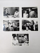 V1 ふたりぼっち　古村比呂 近藤敦 玉置浩二 村上里佳子 三浦友和　東映　映画　スチール　非売品　　写真　画鋲穴あり_画像9