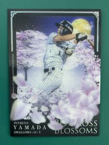 【19/25】 2020 ヤクルト 山田哲人 日本代表 侍ジャパン WBC 3Dカード　《検索用》 BBM EPOCH エポック topps