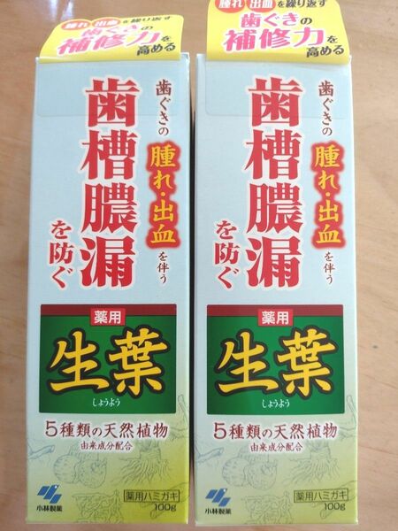 小林製薬　生葉　薬用 ハミガキ 歯槽膿漏 を防ぐ　2本セット