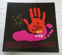 xyu★LP-H48★LENNY KRAVITZ Are You Gonna Go My Way US盤　カラーレコード　CD付　レニークラヴィッツ★_画像5