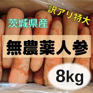 無農薬栽培！　にんじん『アロマレッド』　訳アリ特大サイズ　8ｋｇ　茨城県産 農家直送！②