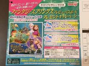 東京ディズニーシー B賞 新テーマポート ファンタジースプリングス 限定 プレビュー パスポート キャンペーン ディズニー シー 新エリア