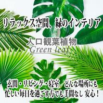 【人気商品】人工観葉植物 フェイクグリーン 壁掛け 光触媒 ポトス アイビー ブドウ 屋内インテリア 鉢付き【A-01】_画像3