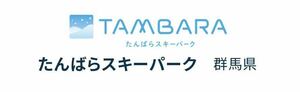 群馬県 たんばらスキーパーク スキー場 大人 1日券 1枚 説明必読