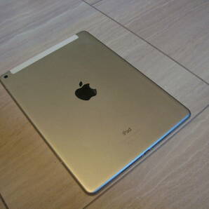 【 iPad Air 2  [Wi-Fi＋Cellularモデル] セルラー シルバー Apple 】の画像4