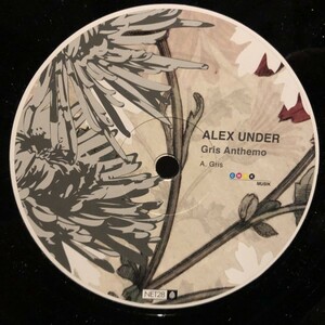 Alex Under / Gris Anthemo